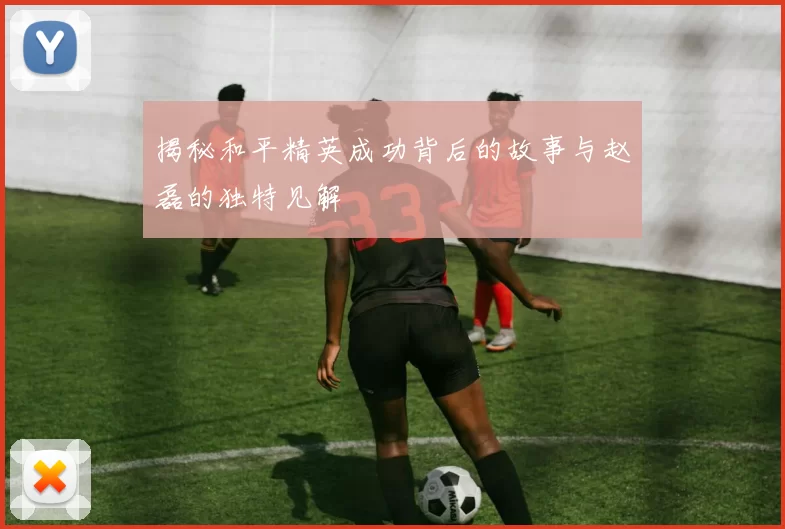 揭秘和平精英成功背后的故事与赵磊的独特见解