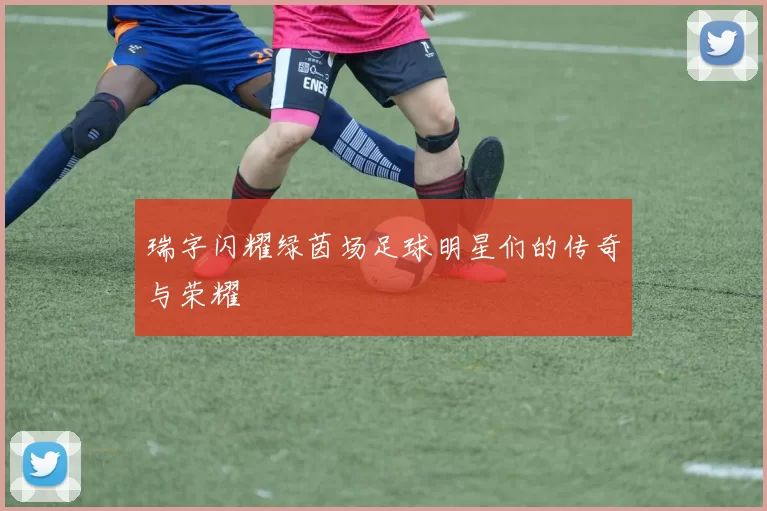 瑞字闪耀绿茵场足球明星们的传奇与荣耀