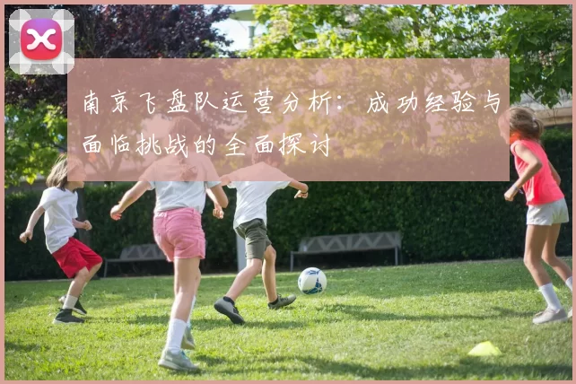 南京飞盘队运营分析：成功经验与面临挑战的全面探讨