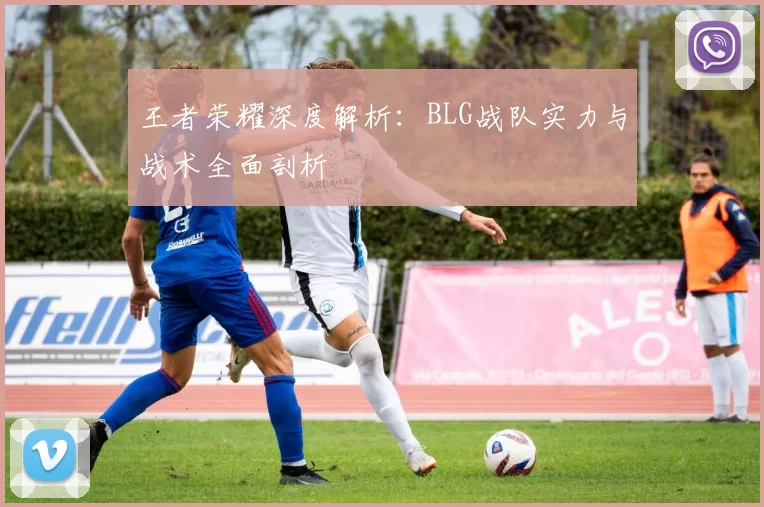 王者荣耀深度解析：BLG战队实力与战术全面剖析