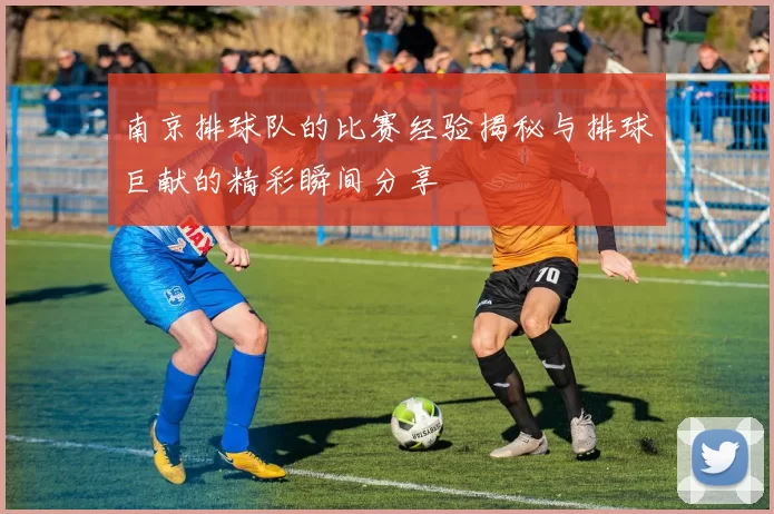 南京排球队的比赛经验揭秘与排球巨献的精彩瞬间分享