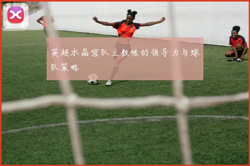 英超水晶宫队主教练的领导力与球队策略