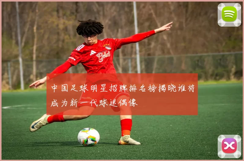 中国足球明星招牌排名榜揭晓谁将成为新一代球迷偶像