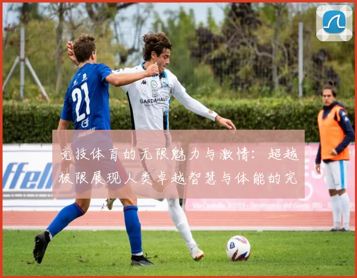 竞技体育的无限魅力与激情：超越极限展现人类卓越智慧与体能的完美融合