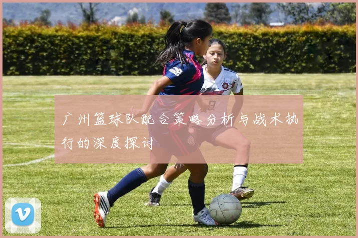 广州篮球队配合策略分析与战术执行的深度探讨