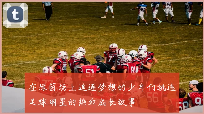 在绿茵场上追逐梦想的少年们挑选足球明星的热血成长故事