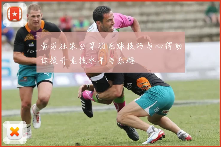 黄芳独家分享羽毛球技巧与心得助你提升竞技水平与乐趣