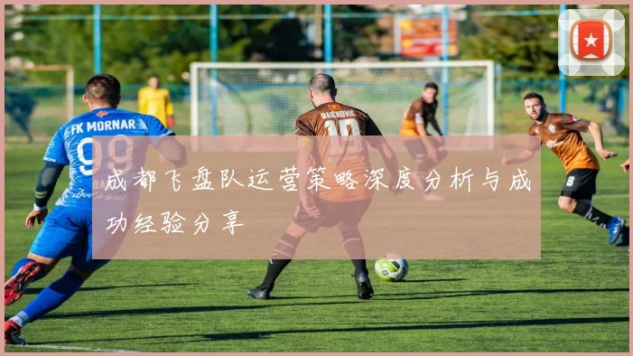成都飞盘队运营策略深度分析与成功经验分享