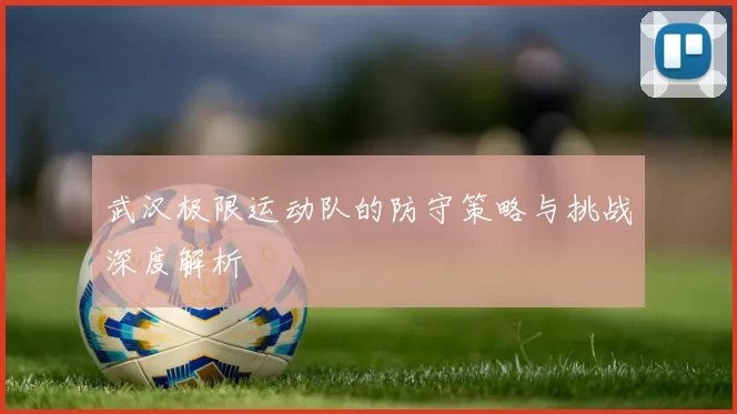 武汉极限运动队的防守策略与挑战深度解析