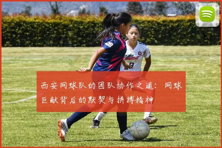 西安网球队的团队协作之道：网球巨献背后的默契与拼搏精神