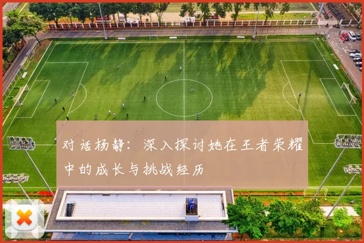 对话杨静：深入探讨她在王者荣耀中的成长与挑战经历
