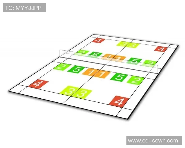 杭州羽毛球队的节奏表现分析与提升策略探讨