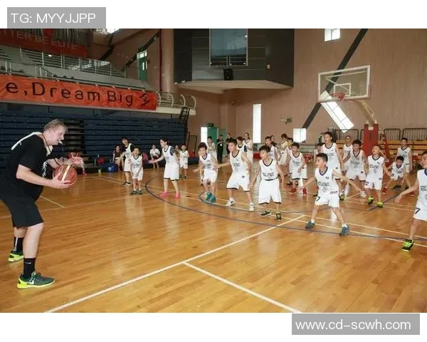 杭州篮球队边路渗透革新探索新战术提升球队竞争力