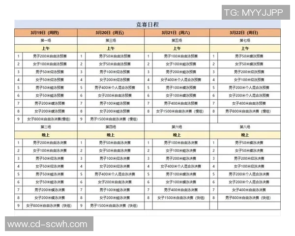 游泳比赛规则全解析：从起跳到终点的每个细节与要求